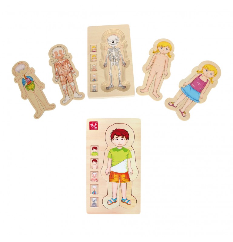 Puzzle En Bois Corps Humain Garçon Pour Enfants