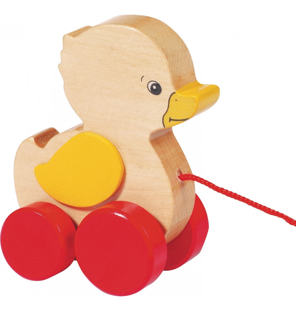 Jouet bain montessori parcours canard