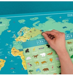 Jouets Montessori