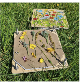 Jouets Montessori