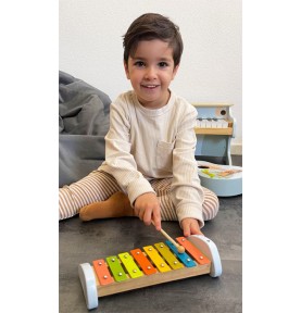 Xylophone en bois, PlanToys