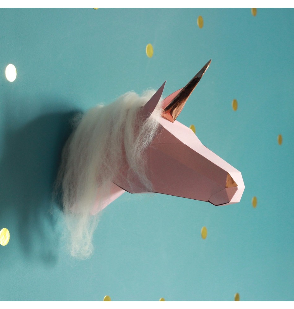 DECHOUS Kit DIY Couronnes En Feutrine 8 Pièces Pour Garçon Et Filles