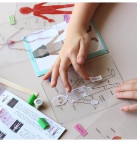Jouet éducatif Montessori anatomie