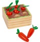 Jeu des carottes à encastrer