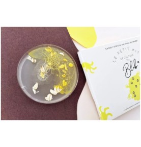 Boîte de Petri où le blob jaune recouvre des flocons d'avoine, à côté de la boîte