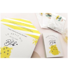 Boîte ouverte sur son rabat rayé jaune In blob we trust, mode d'emploi et sachets