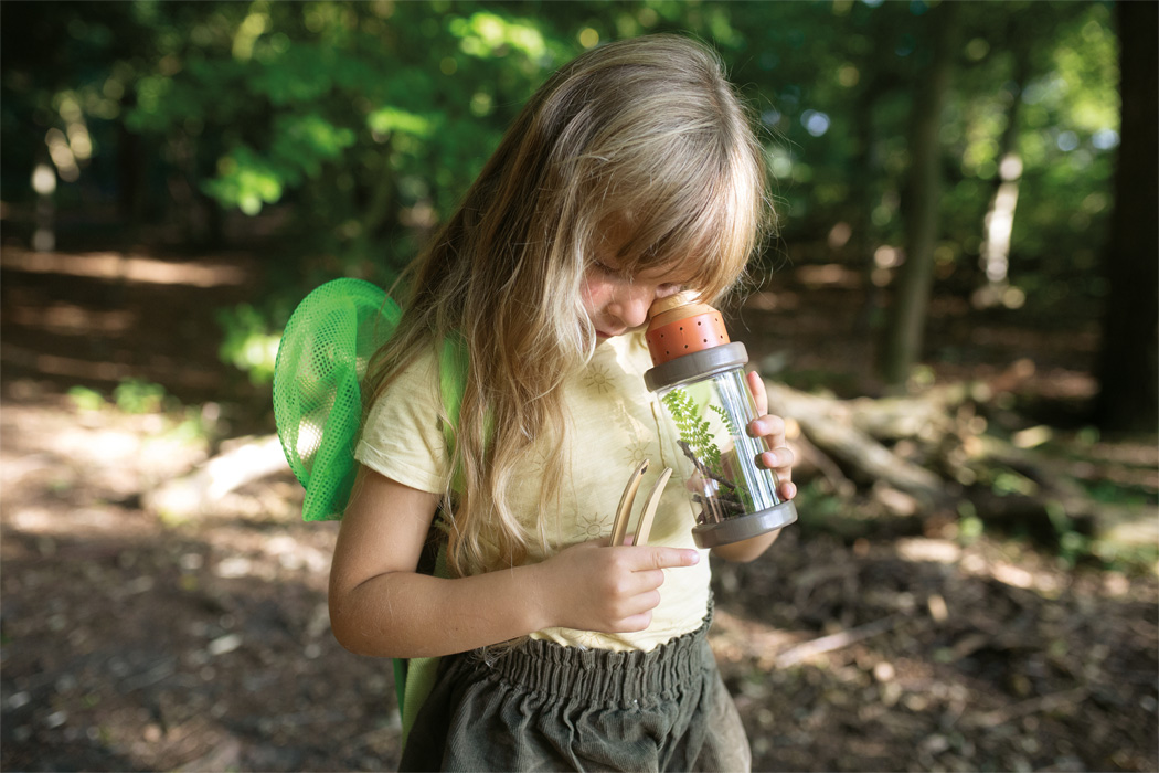 kit observation insectes