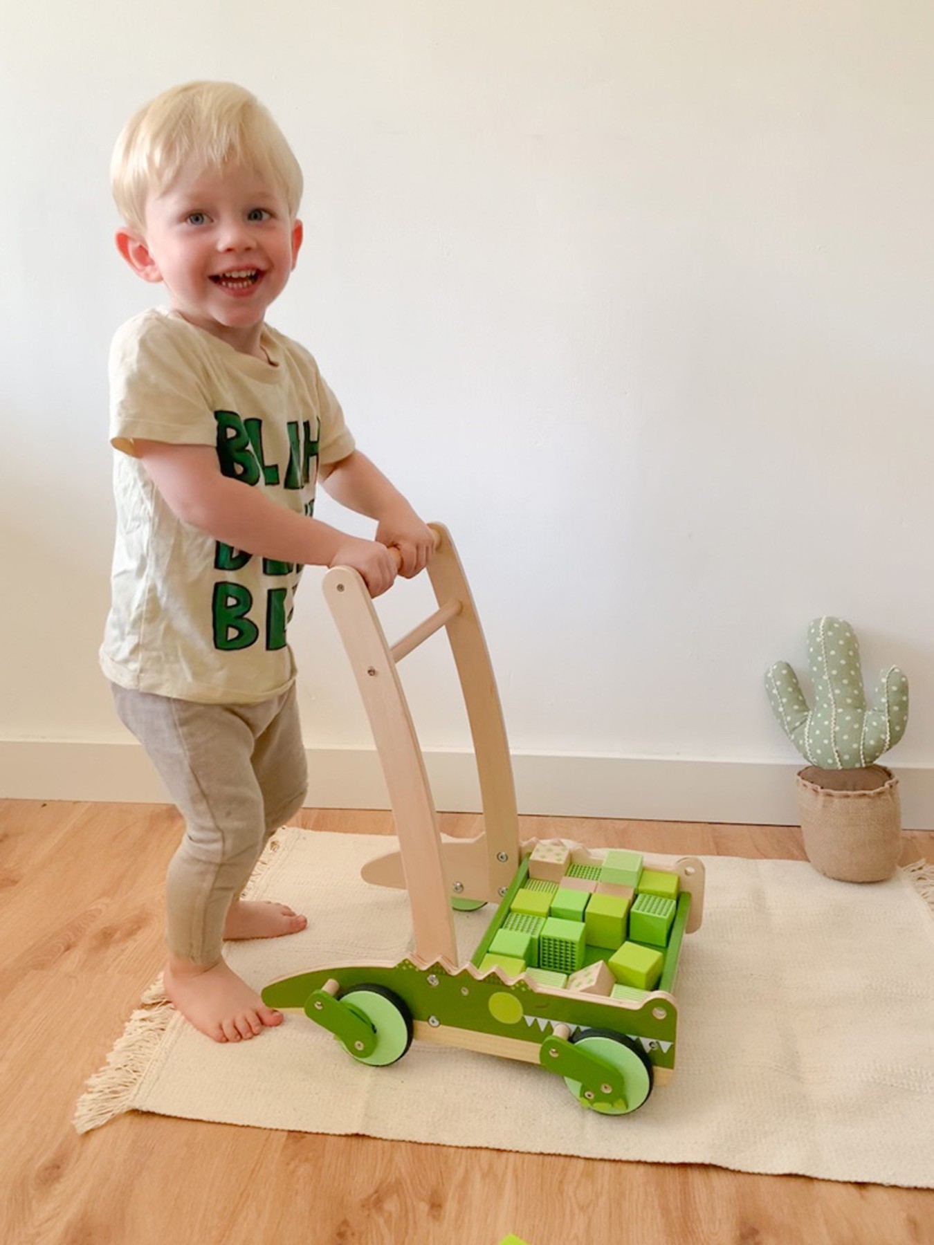 Wooden Crocodile Push Walker with Snapping Jaws - Vue 2