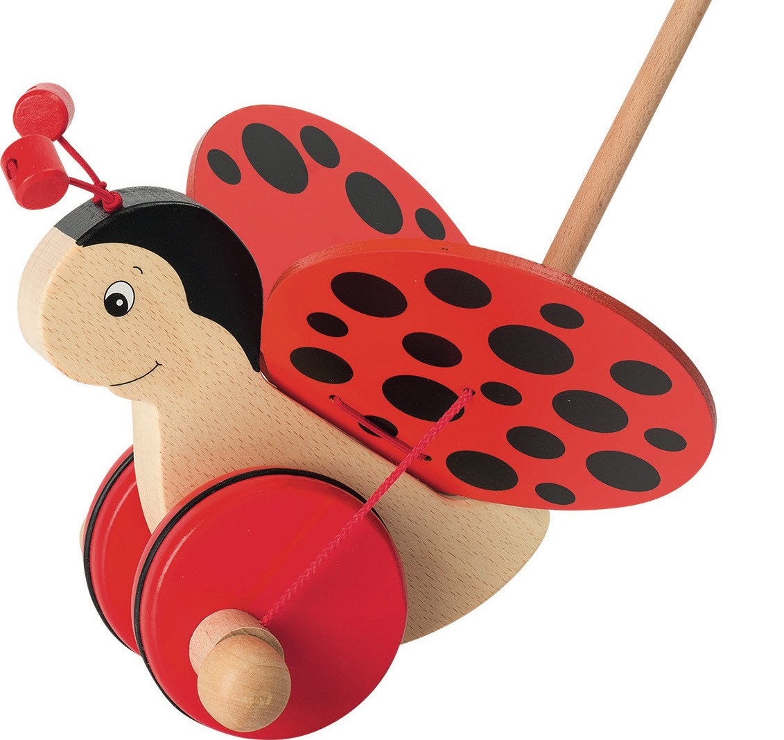 Wooden Ladybird Push-Along Toy