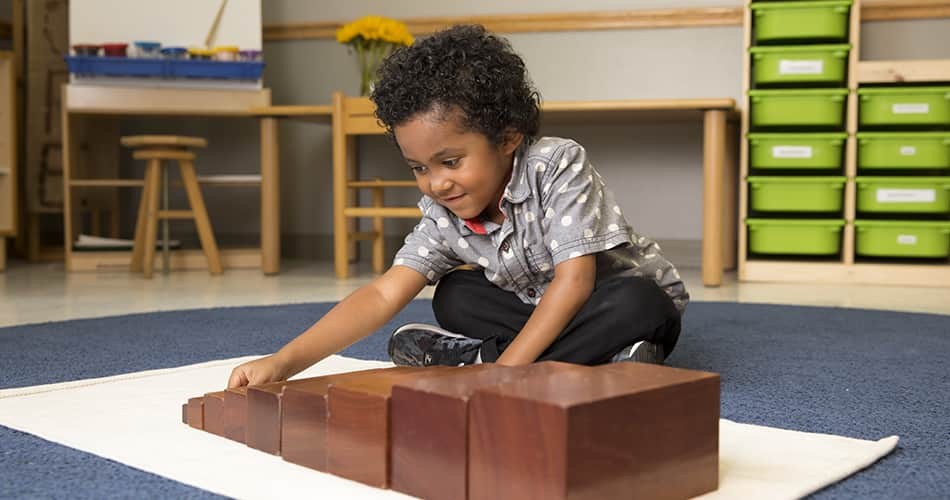 Wooden Sorting Tray with 12 Compartments - Heuristic Play - Vue 2