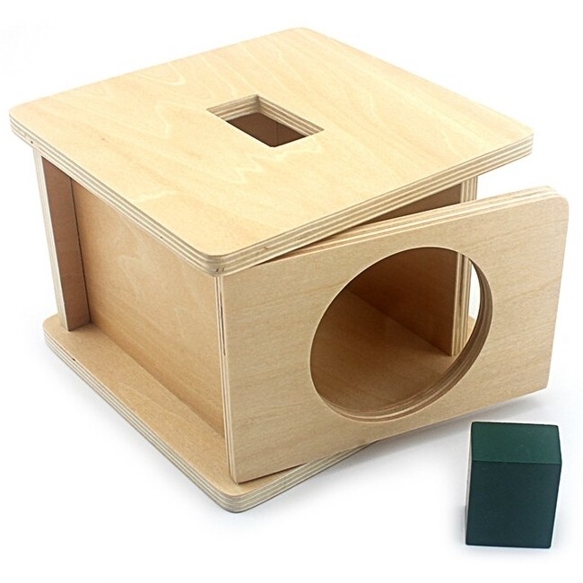 Montessori Rectangular Shape Inset & Drop Box