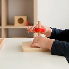 Montessori Vertical Dowel & Chunky Wooden Discs - Vue 3