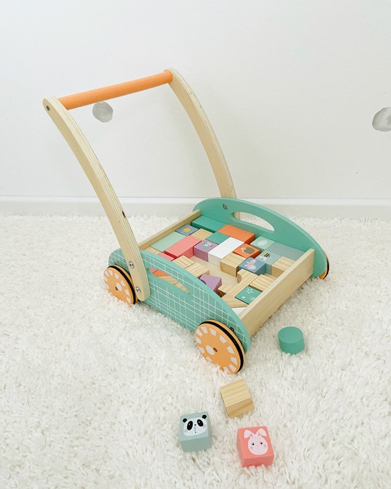 Pastel Wooden Baby Push Walker with 34 Blocks - Vue 9