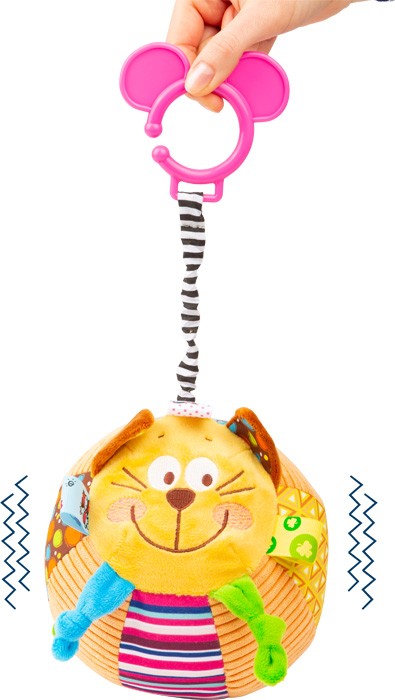 Cat Rattle & Soft Sensory Sound Ball