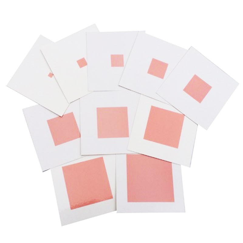 The Montessori Pink Tower with 10 Visual Cards - Vue 6