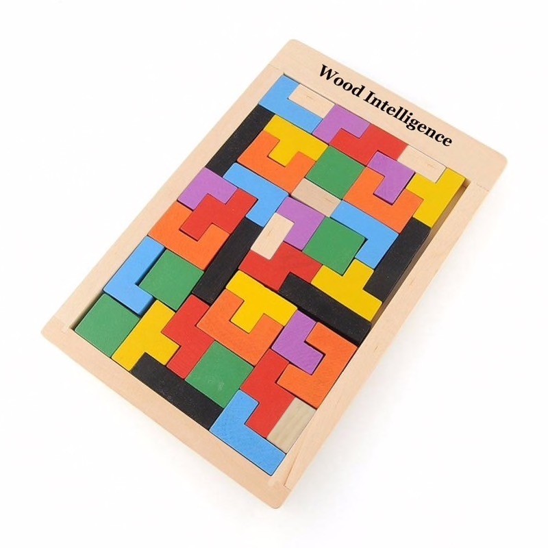 Montessori Wooden Tetris Tangram Brain Teaser