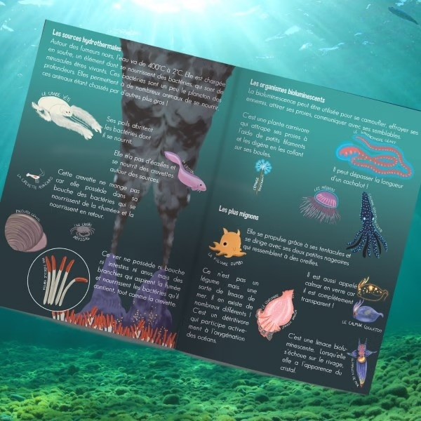 Deep Sea Angler Fish Creative Papercraft Activity Kit - Vue 5