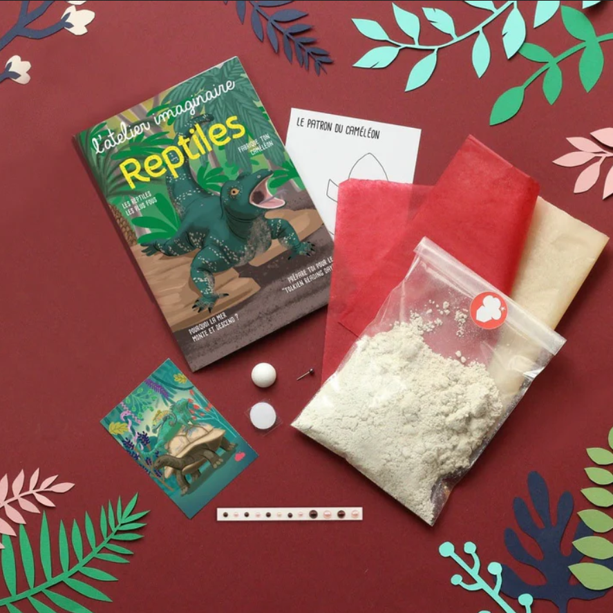Reptiles & Amphibians Paper Mâché Chameleon Craft Kit - Vue 4