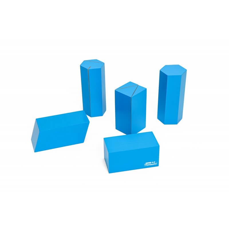 Montessori Geometric Fraction Blocks & Solids Set