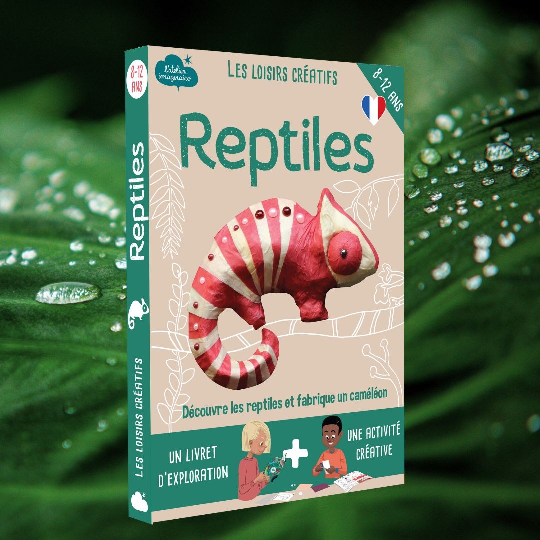 Reptiles & Amphibians Paper Mâché Chameleon Craft Kit - Vue 7